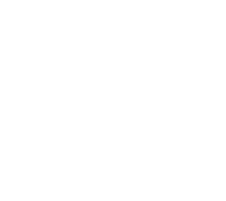 Flachau Logo